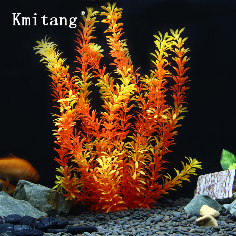 Aquarium Plant Nursery - 100Cm Thực Vật Nhiệt Đới Lớn