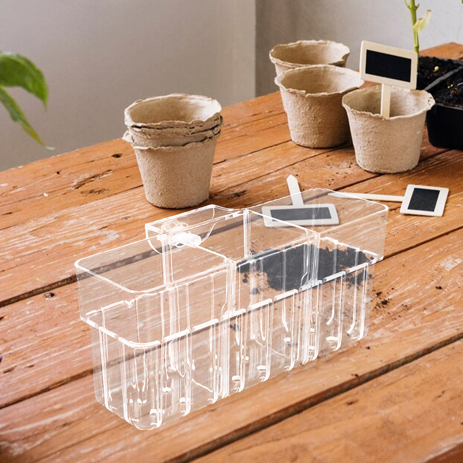 Aquarium Planted Wall - Clear Hydroponic Plant Basket 3 Compartment
