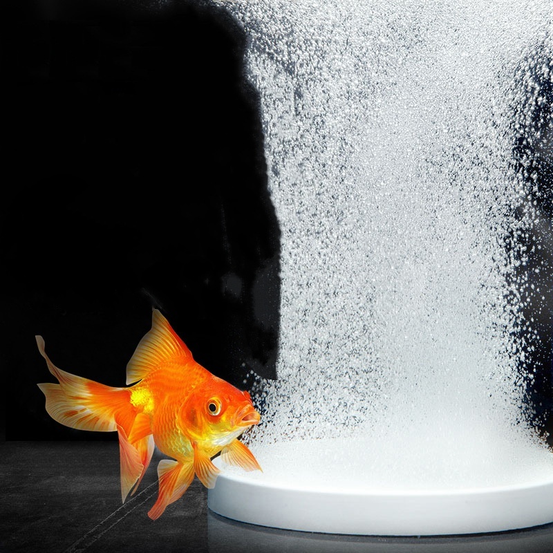 Planted Aquarium Accessories - Nano Disc Air Stone Oxygen Aerator