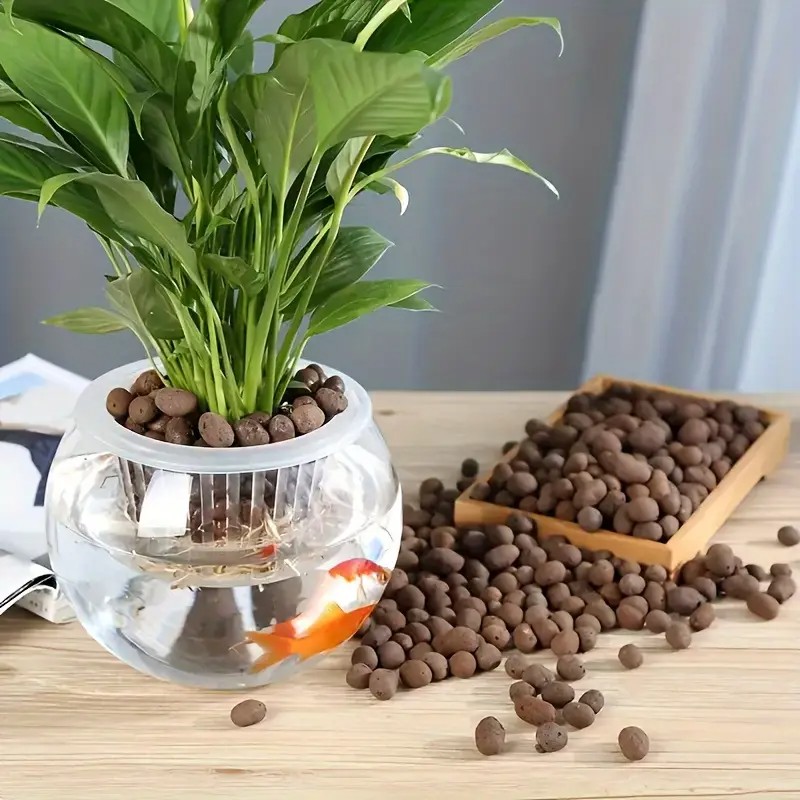 Lightweight & Breathable Terra - đánh giá và giá Aquarium Planted Aquarium
