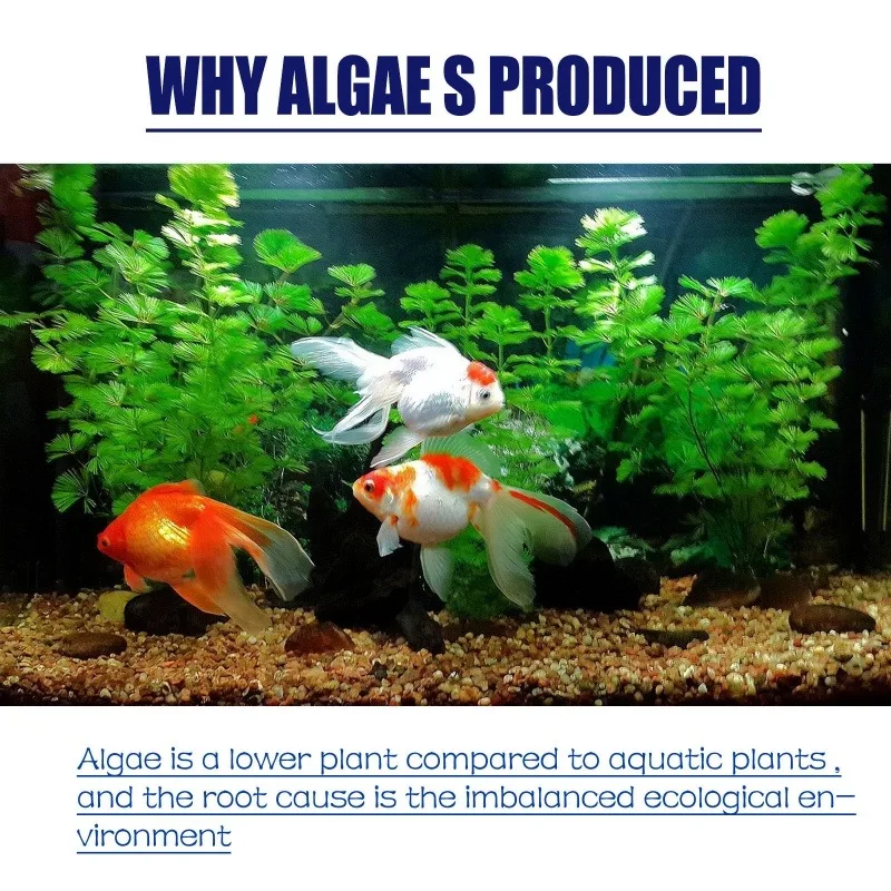 50g High Efficiency Algaecide  - đánh giá và giá Planted Aquarium Equipment