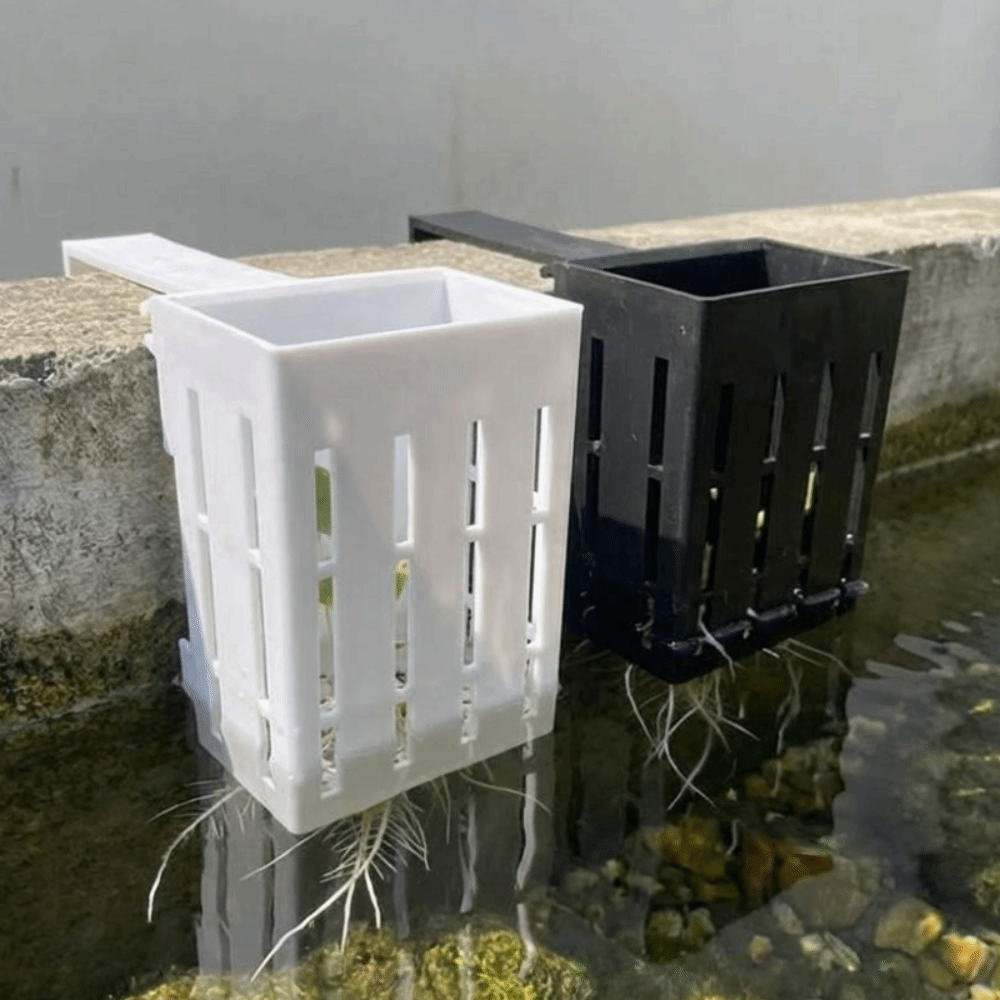 Wall-Mounted Aquarium Plant Ba - đánh giá và giá Aquarium Planted Wall