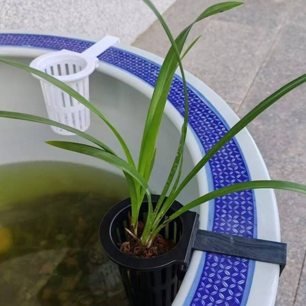 Wall-Mounted Aquarium Plant Ba - đánh giá và giá Aquarium Planted Wall