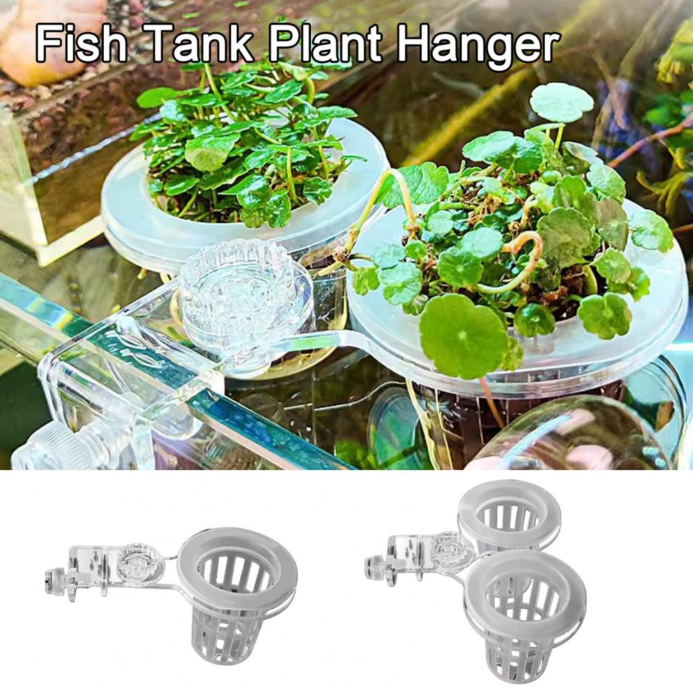 Aquarium Plant Holder Wall-Mou - đánh giá và giá Aquarium Planted Wall