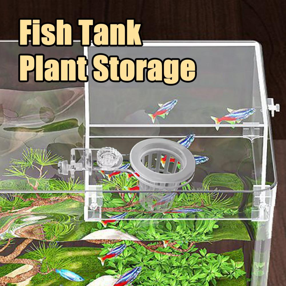 Aquarium Plant Holder Wall-Mou - đánh giá và giá Aquarium Planted Wall