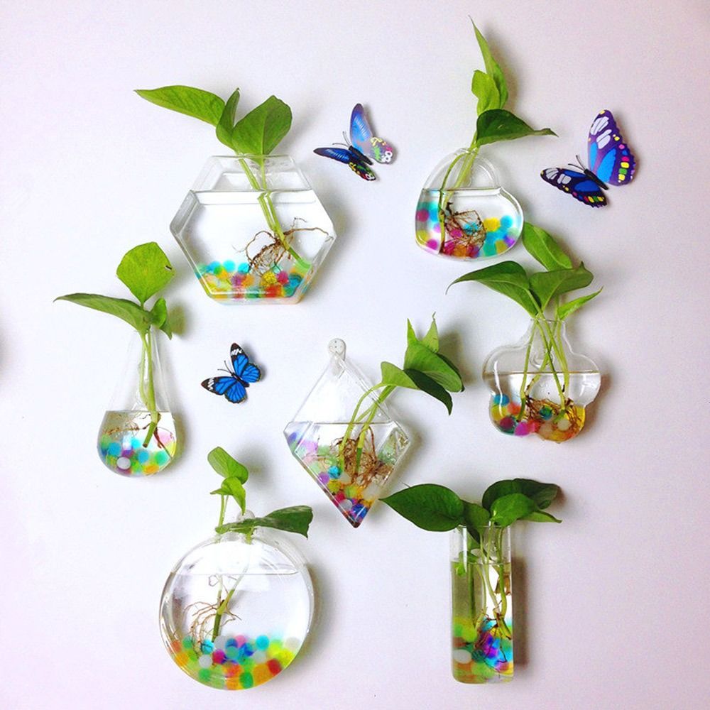 Cone Shape Wall Hanging Vase T - đánh giá và giá Aquarium Planted Wall