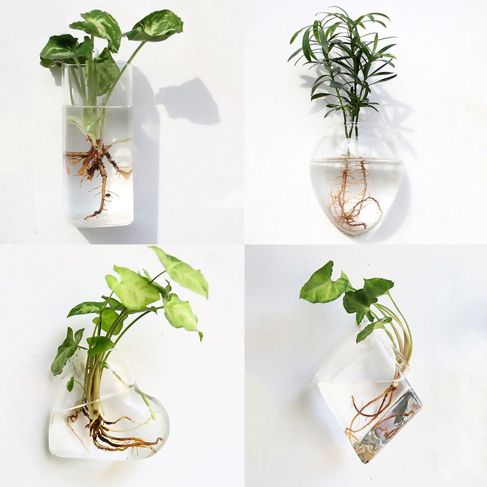 Cone Shape Wall Hanging Vase T - đánh giá và giá Aquarium Planted Wall