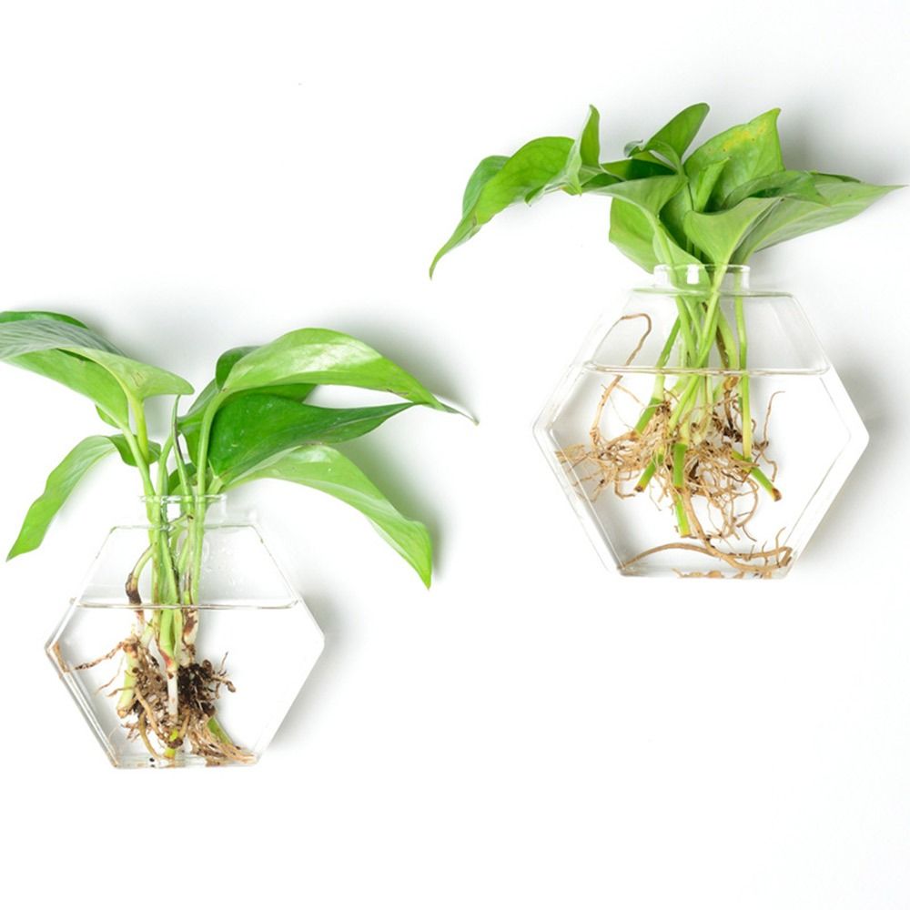 Cone Shape Wall Hanging Vase T - đánh giá và giá Aquarium Planted Wall
