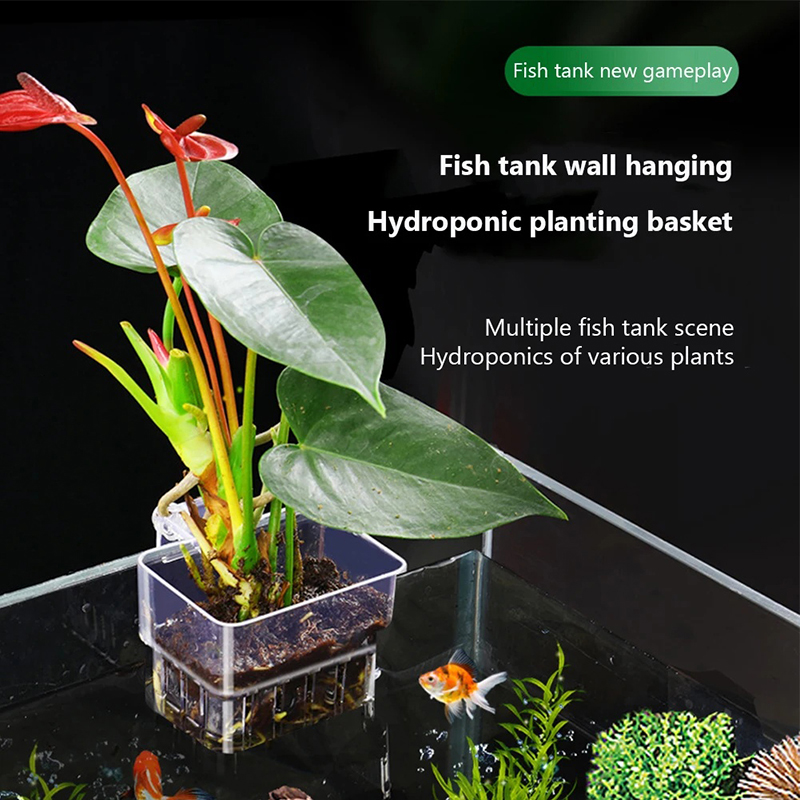 New【Hanging Aquarium Planter C - đánh giá và giá Aquarium Planted Wall