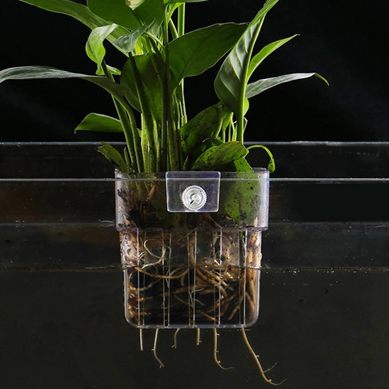 New【Hanging Aquarium Planter C - đánh giá và giá Aquarium Planted Wall