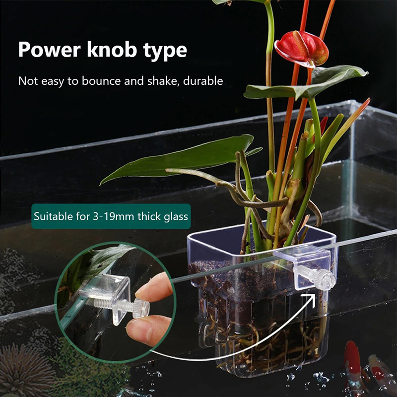 New【Hanging Aquarium Planter C - đánh giá và giá Aquarium Planted Wall