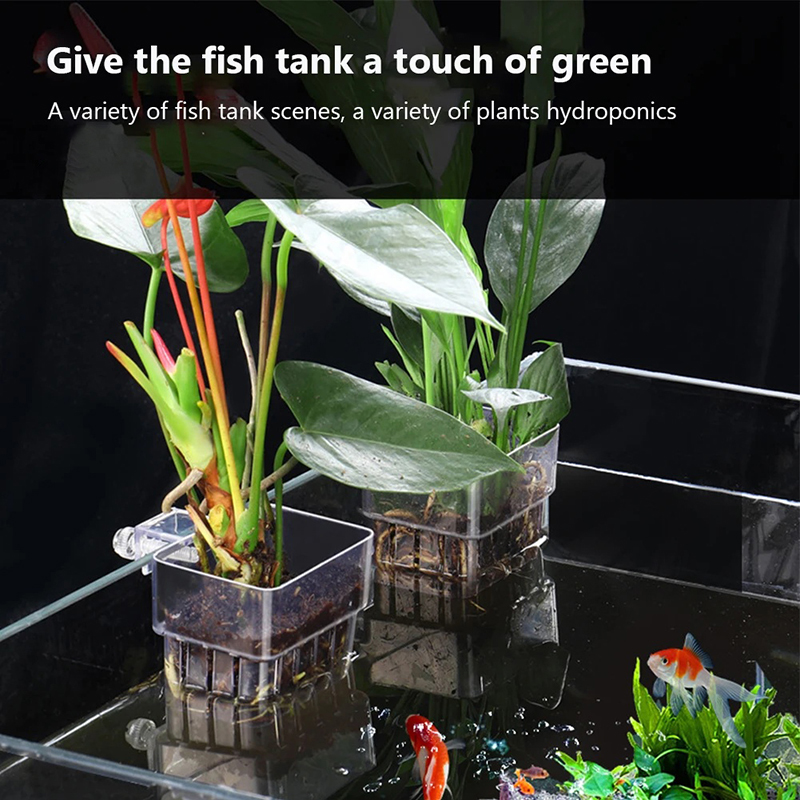 New【Hanging Aquarium Planter C - đánh giá và giá Aquarium Planted Wall