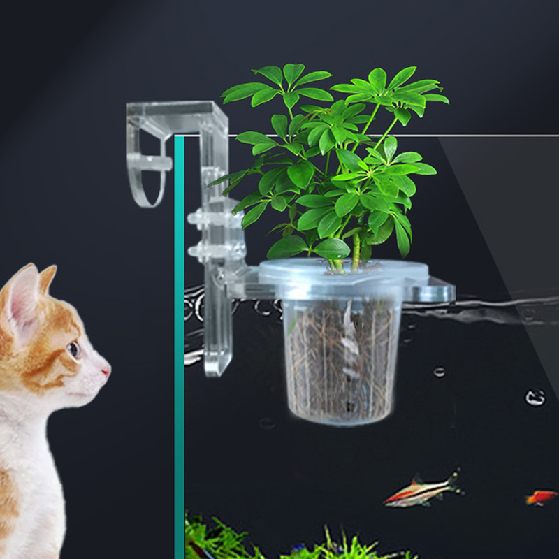 Fish Tank Planting Cups Hydrop - đánh giá và giá Aquarium Planted Wall