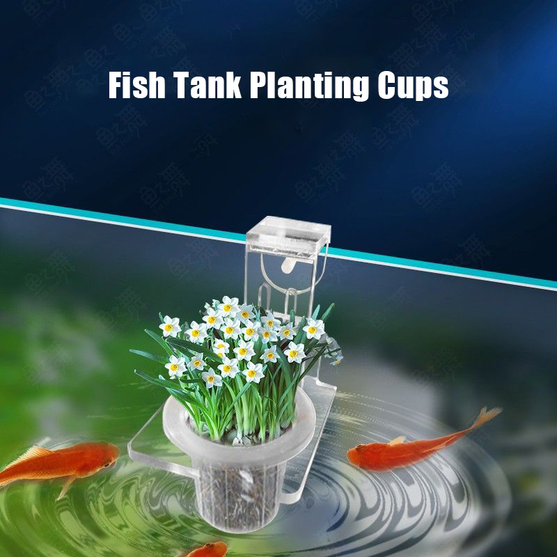 Fish Tank Planting Cups Hydrop - đánh giá và giá Aquarium Planted Wall