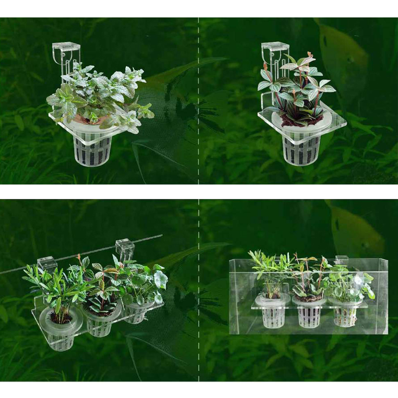 Fish Tank Planting Cups Hydrop - đánh giá và giá Aquarium Planted Wall