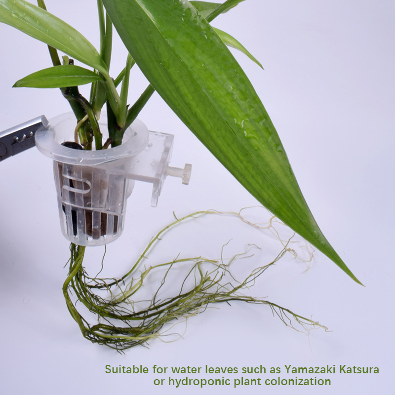 Wall Mounted Aquatic Plant Fix - đánh giá và giá Aquarium Planted Wall