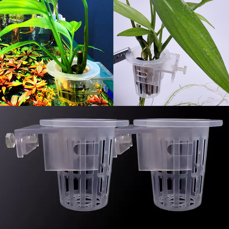 Wall Mounted Aquatic Plant Fix - đánh giá và giá Aquarium Planted Wall
