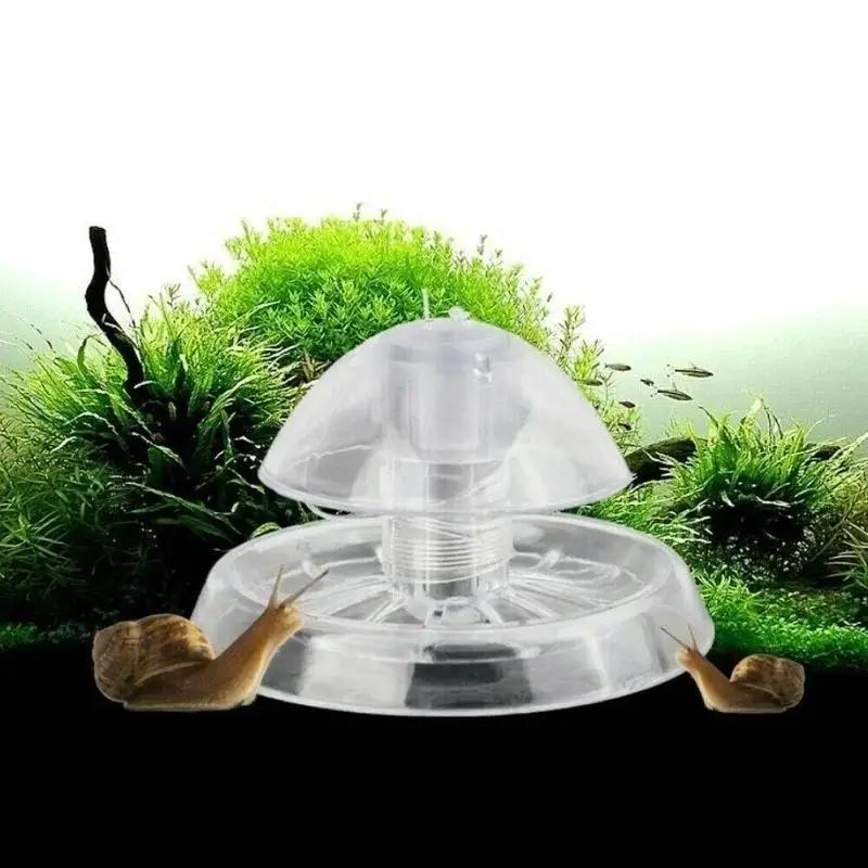 2026 New 6/8CM Clear Plastic S - đánh giá và giá Aquarium Plant Nursery