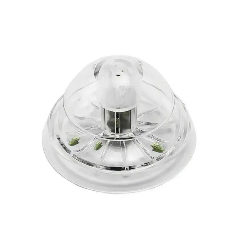 2026 New 6/8CM Clear Plastic S - đánh giá và giá Aquarium Plant Nursery