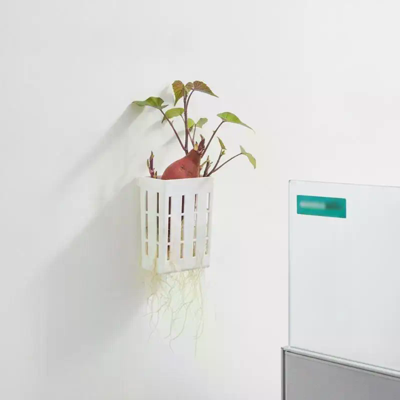 1Pcs Hydroponic Support Basket - đánh giá và giá Aquarium Planted Aquarium