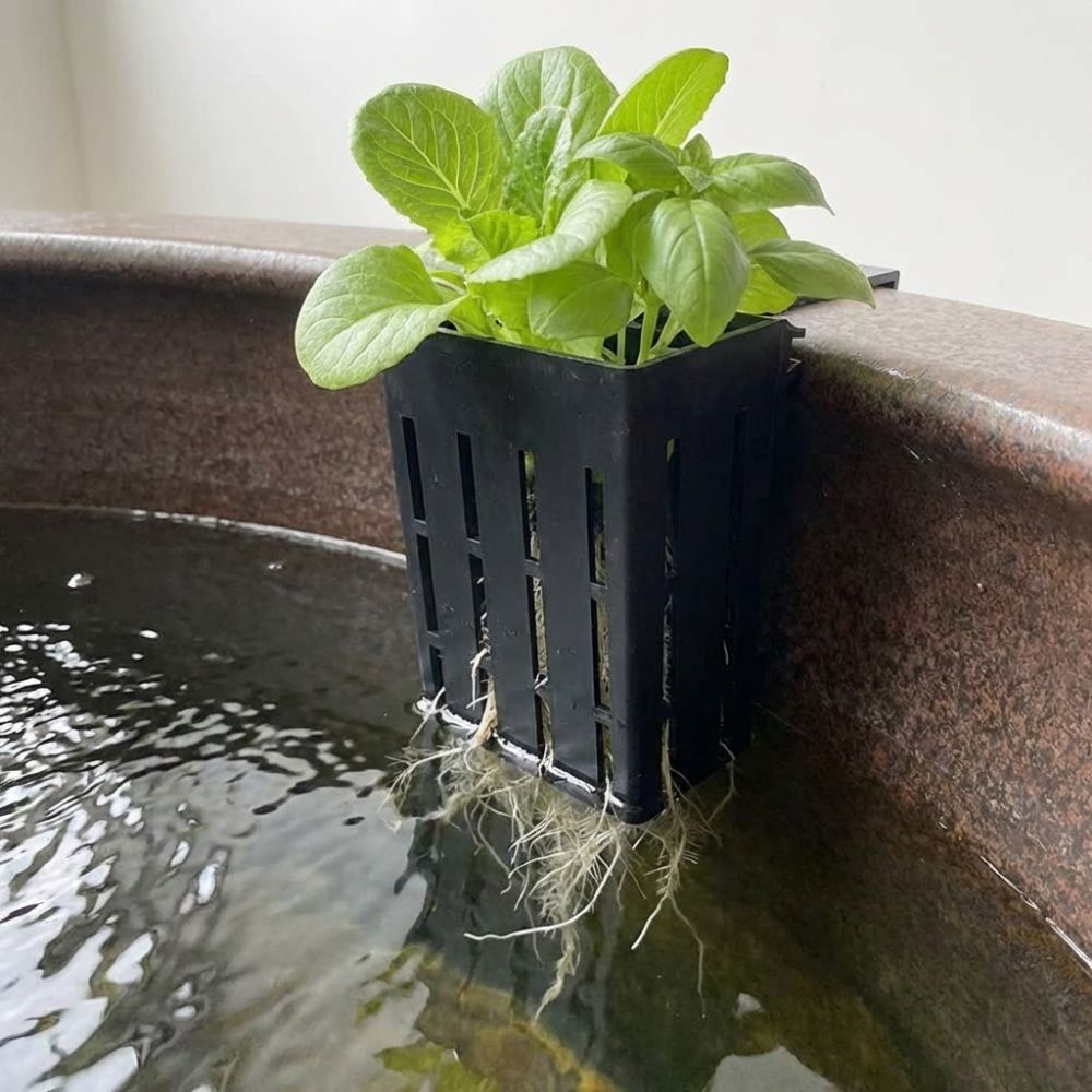 Wall-Mounted Aquarium Plant Ba - đánh giá và giá Aquarium Planted Wall