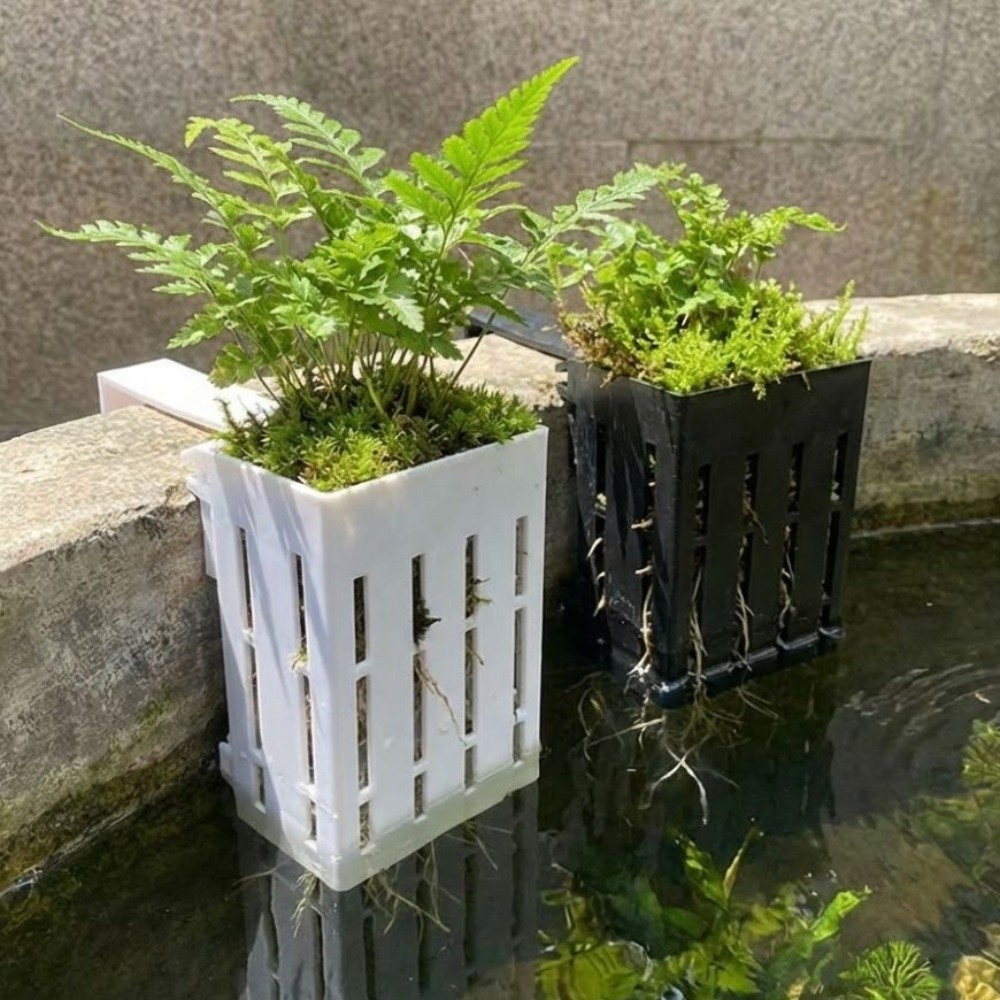 Wall-Mounted Aquarium Plant Ba - đánh giá và giá Aquarium Planted Wall