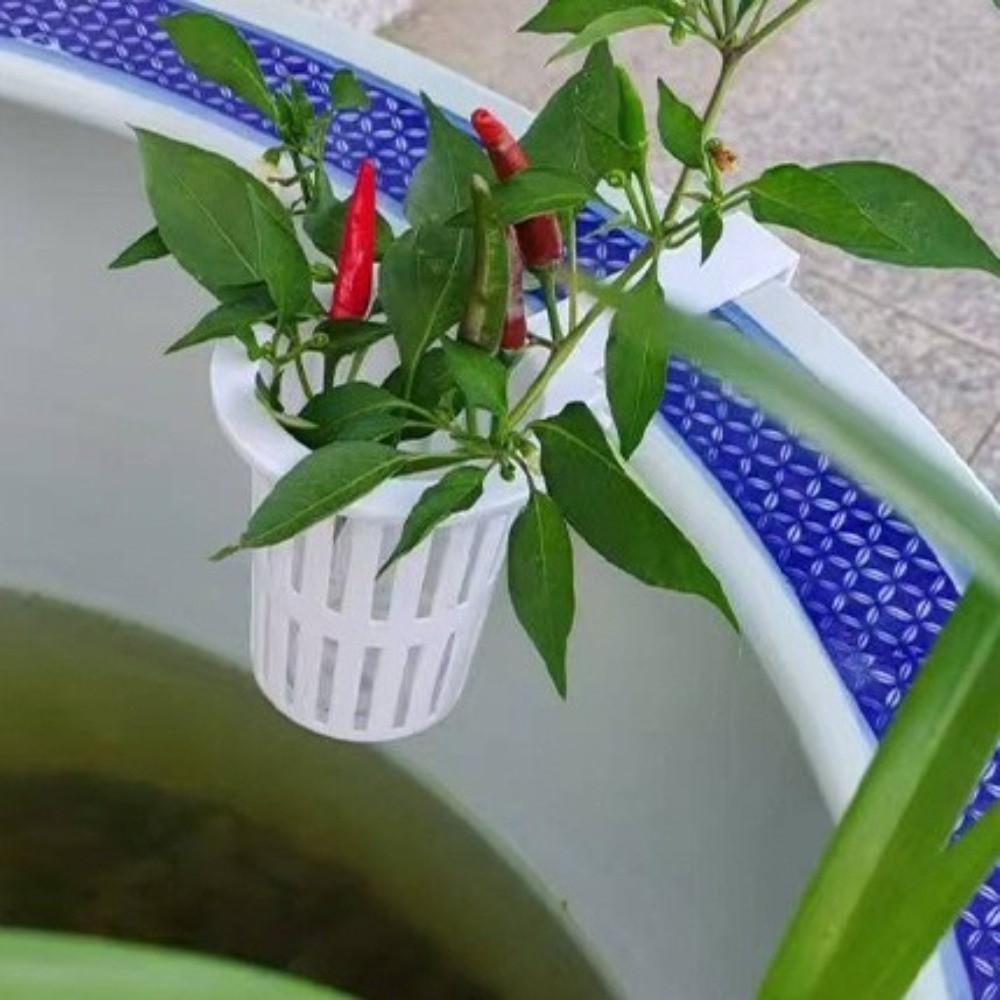 Wall-Mounted Aquarium Plant Ba - đánh giá và giá Aquarium Planted Wall