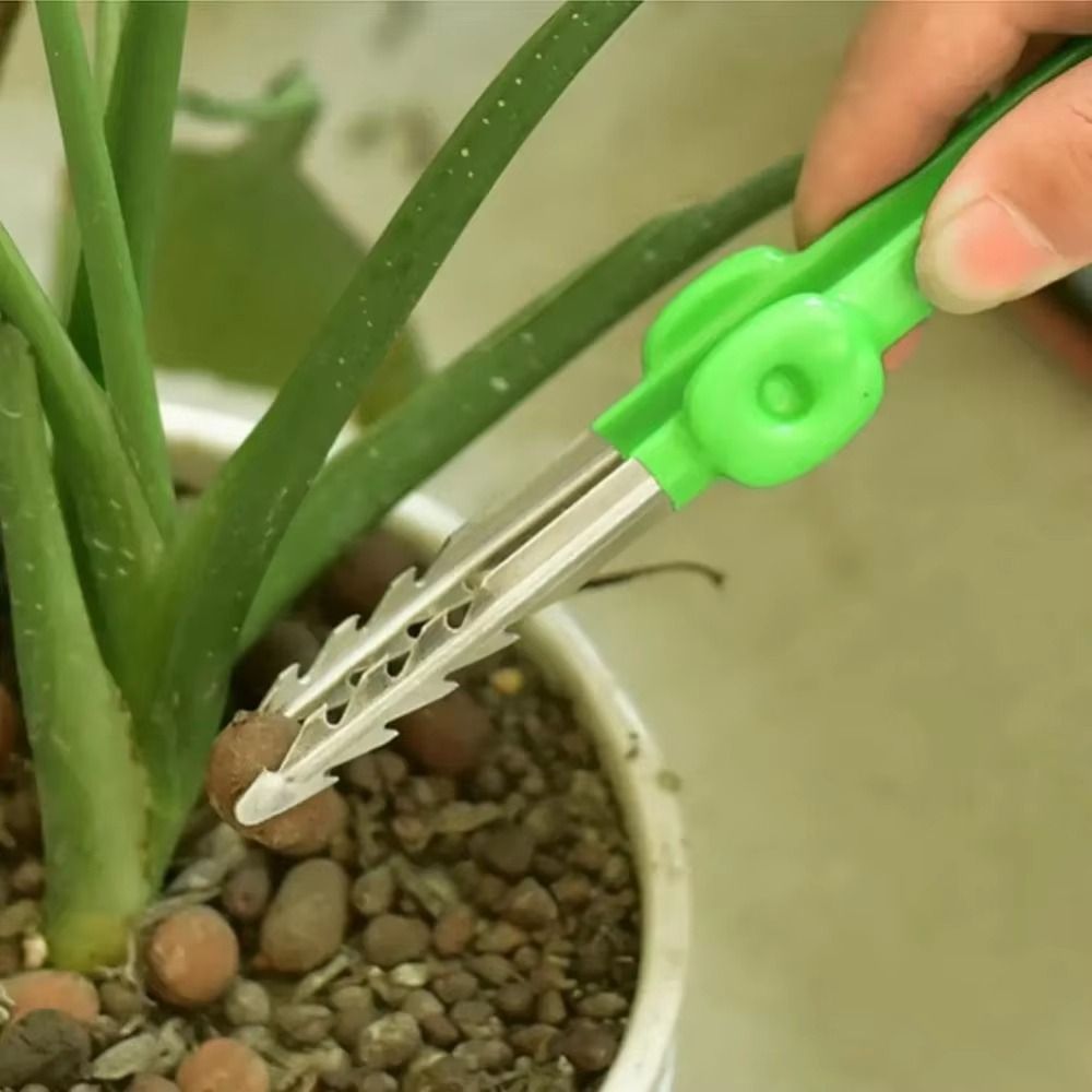 Stainless Steel Gardening Twee - đánh giá và giá Planted Clip Tweezers