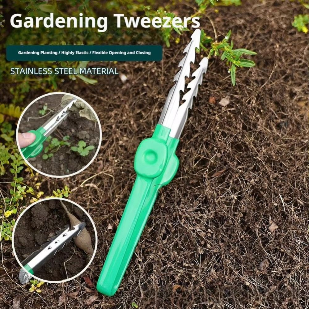 Stainless Steel Gardening Twee - đánh giá và giá Planted Clip Tweezers