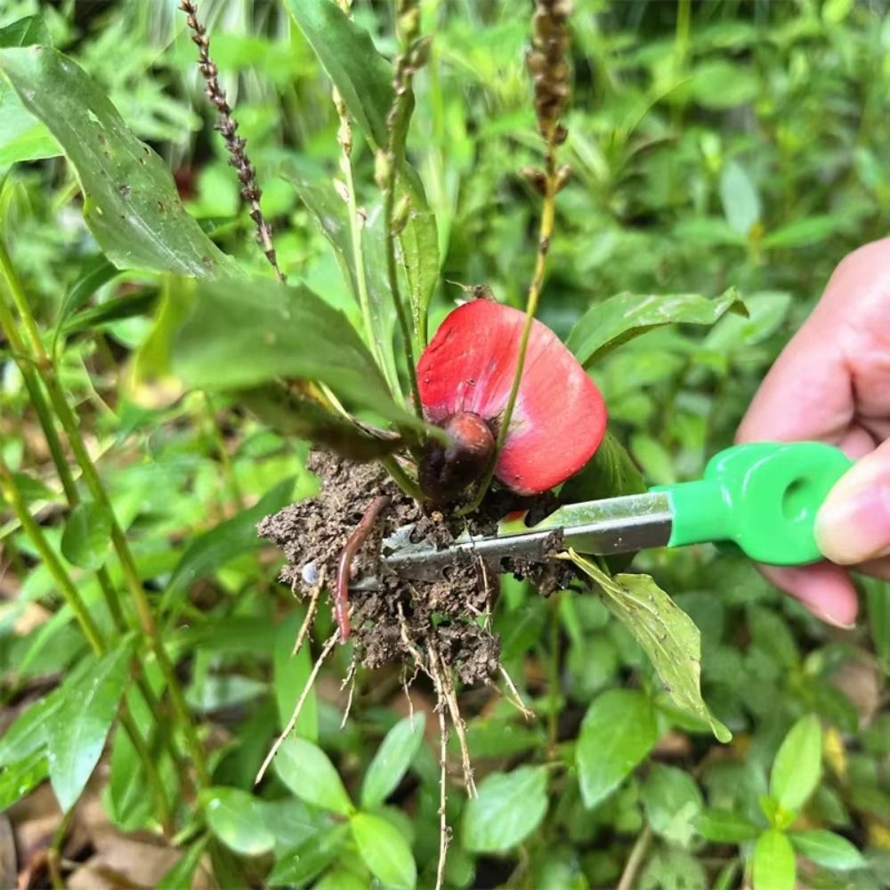Stainless Steel Gardening Twee - đánh giá và giá Planted Clip Tweezers