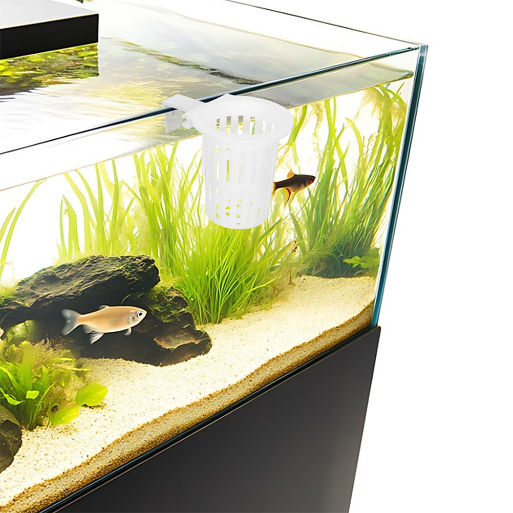 4Pcs Hydroponic Hanging Basket - đánh giá và giá Aquarium Planted Wall