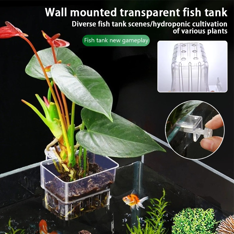 Aquarium Hanging Planter Cups  - đánh giá và giá Aquarium Planted Wall