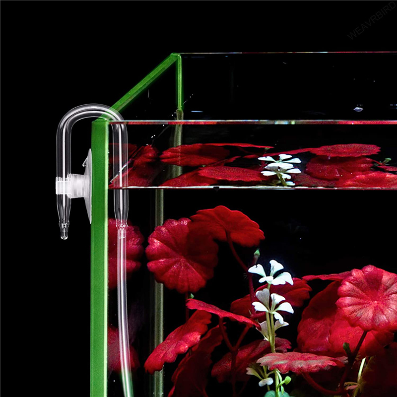 Aquarium U Shaped Air Pipe Con - đánh giá và giá Planted Aquarium Accessories