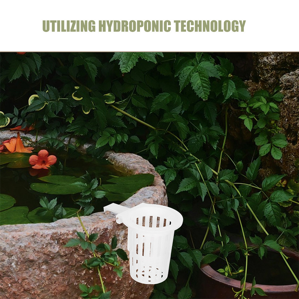 4Pcs Hydroponic Wall Mounted H - đánh giá và giá Aquarium Planted Wall