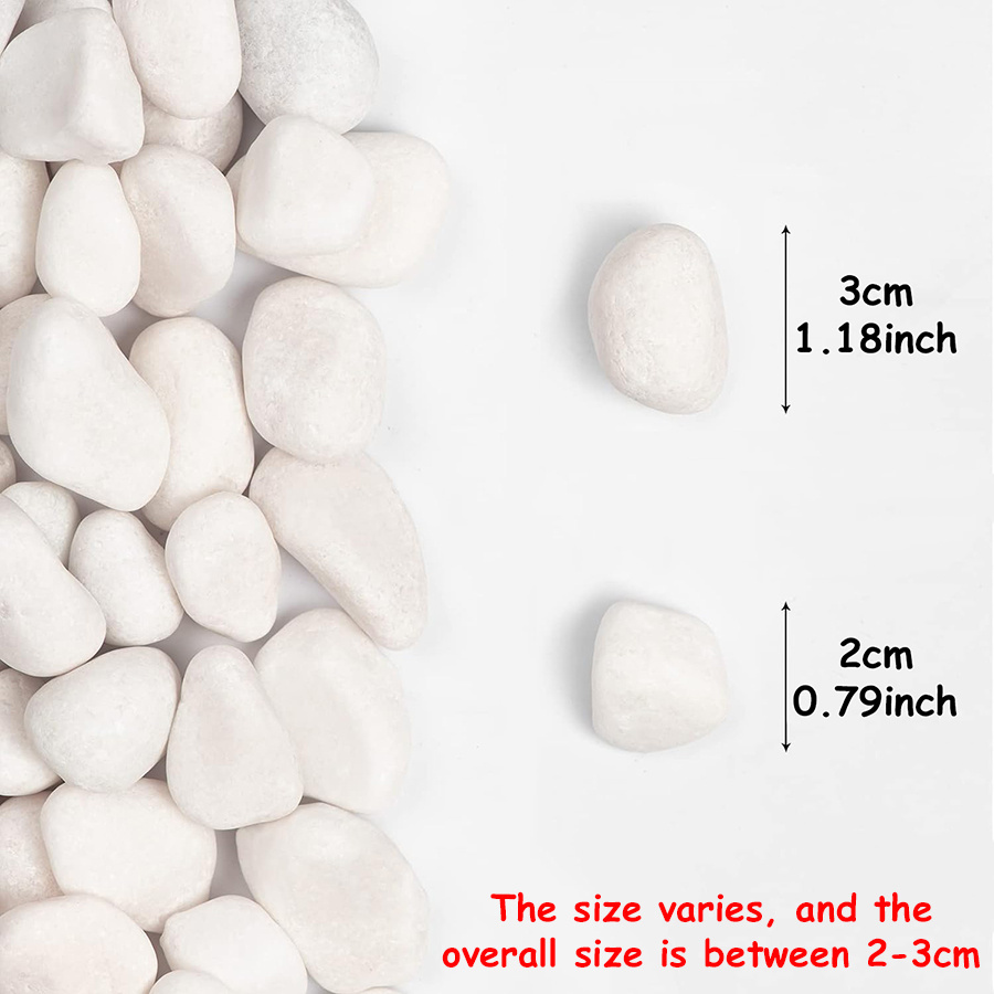 200/400g White High Polished N - đánh giá và giá Aquarium Planted Aquarium