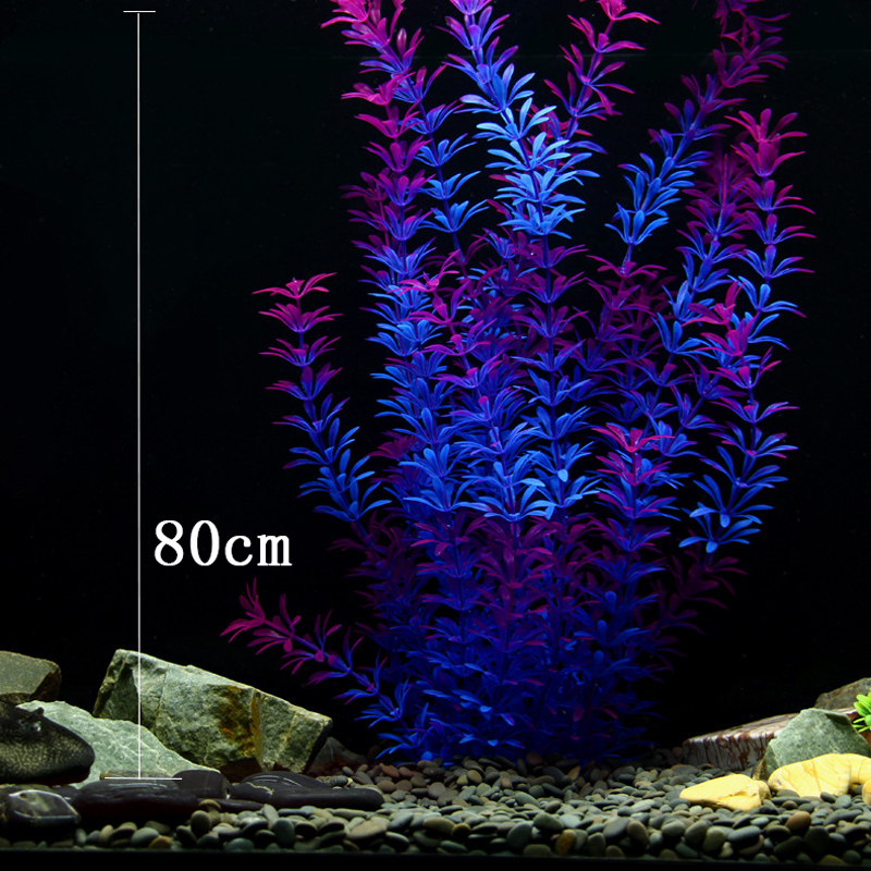 100Cm Thực Vật Nhiệt Đới Lớn N - đánh giá và giá Aquarium Plant Nursery