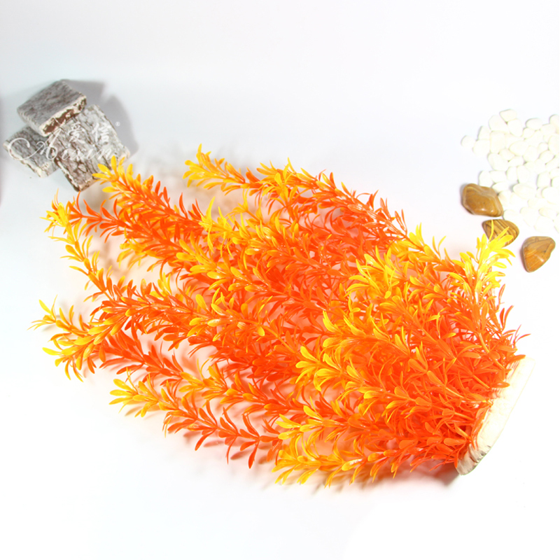 100Cm Thực Vật Nhiệt Đới Lớn N - đánh giá và giá Aquarium Plant Nursery