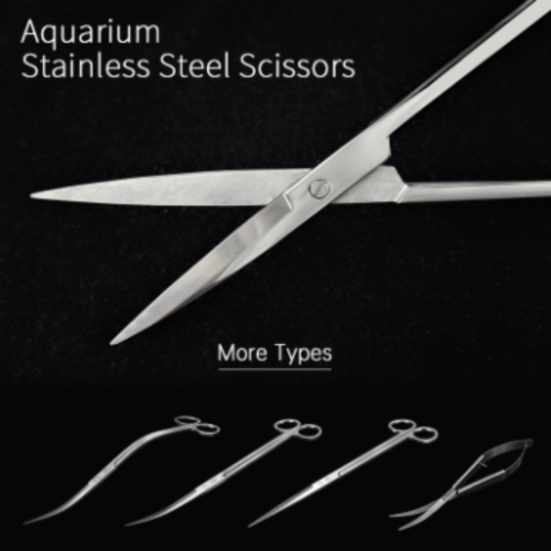 Week Aqua Stainless Steel Aqua - đánh giá và giá Aquarium Plant Nursery