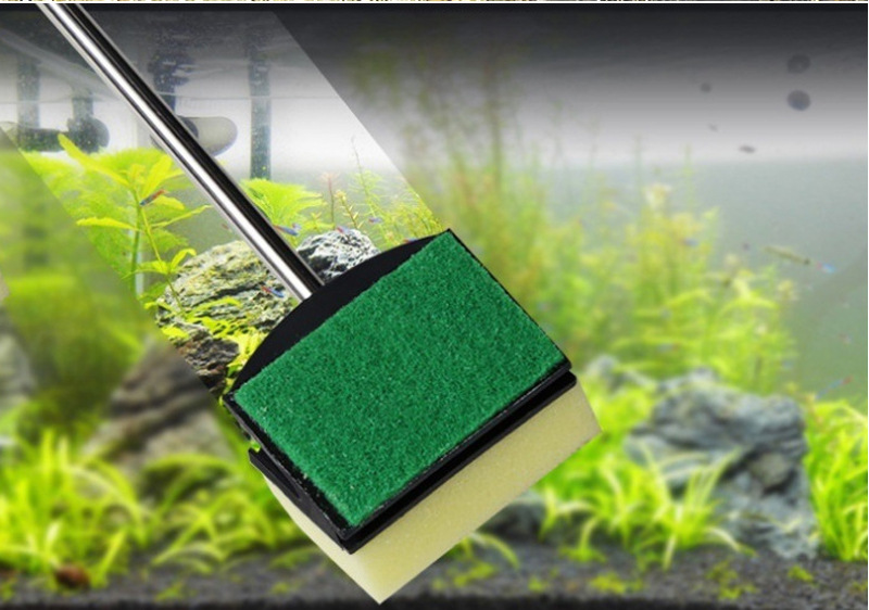 48cm Stainless Steel Aquarium  - đánh giá và giá Planted Aquarium Tool Kit