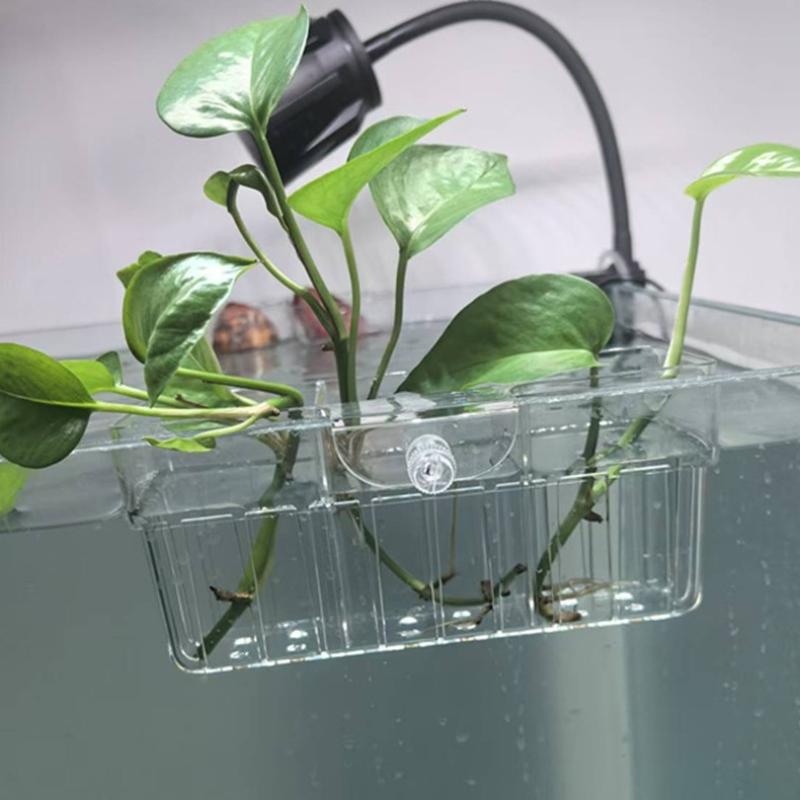 Hydroponic Plant Basket Food G - đánh giá và giá Aquarium Planted Aquarium