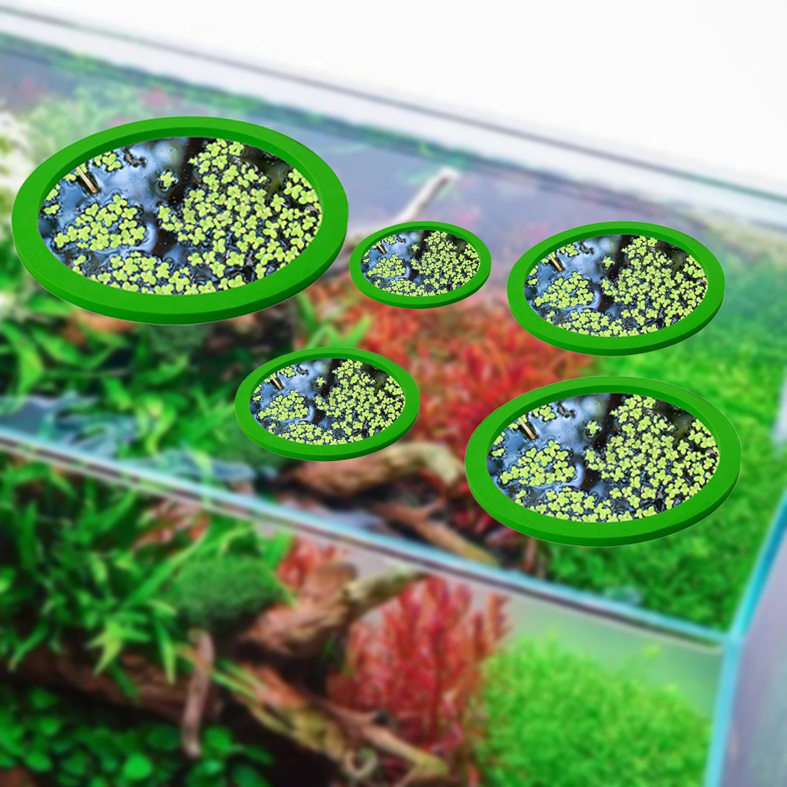 5Pcs EVA Fish Feeding Ring Aqu - đánh giá và giá Aquarium Planted Aquarium