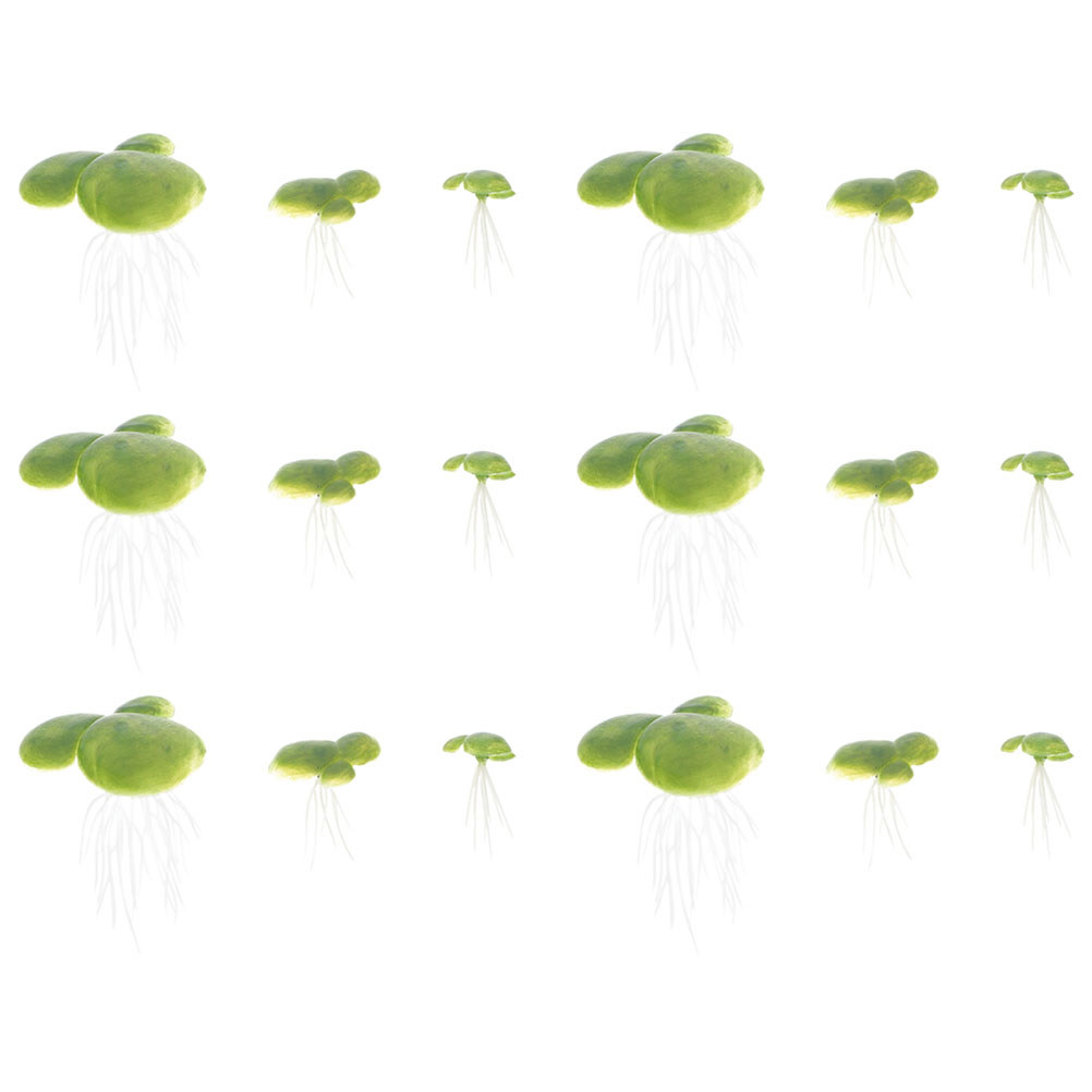 Artificial Duckweed Aquarium P - đánh giá và giá Planted Aquarium For Beginners
