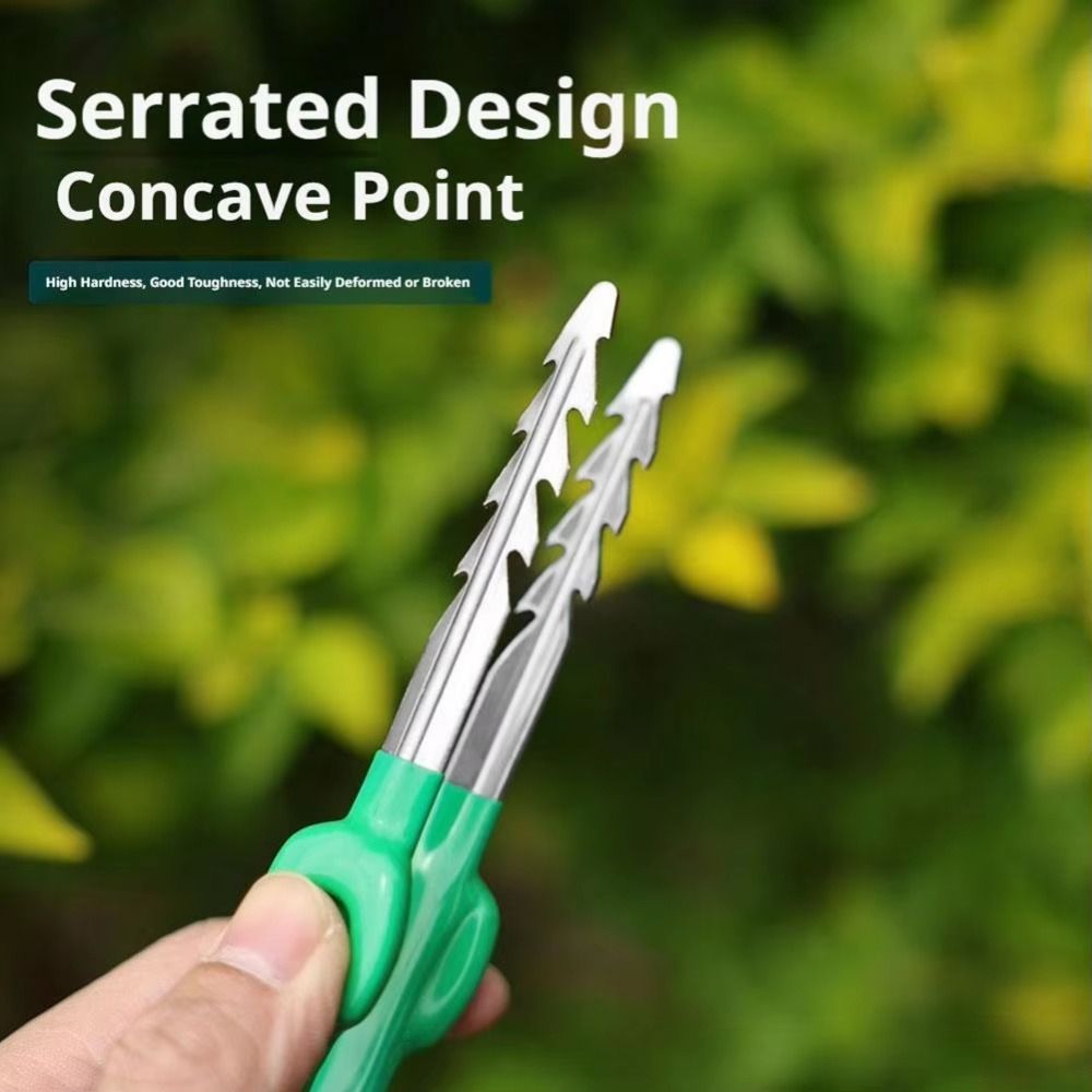Stainless Steel Gardening Twee - đánh giá và giá Planted Clip Tweezers
