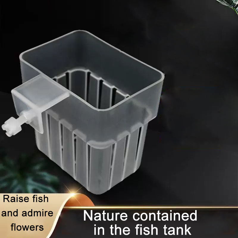 Aquarium Transparent Hydroponi - đánh giá và giá Aquarium Planted Wall