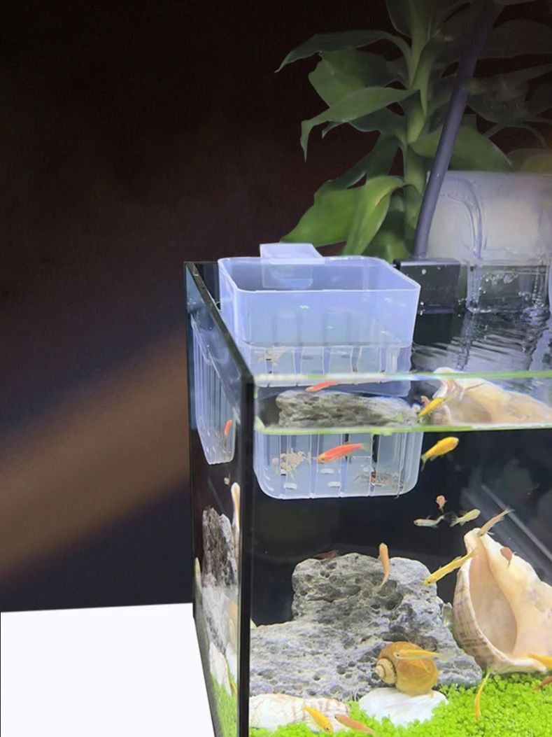 Aquarium Transparent Hydroponi - đánh giá và giá Aquarium Planted Wall
