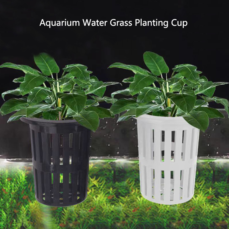 1/3Pcs Aquarium Plant Basket W - đánh giá và giá Aquarium Planted Wall