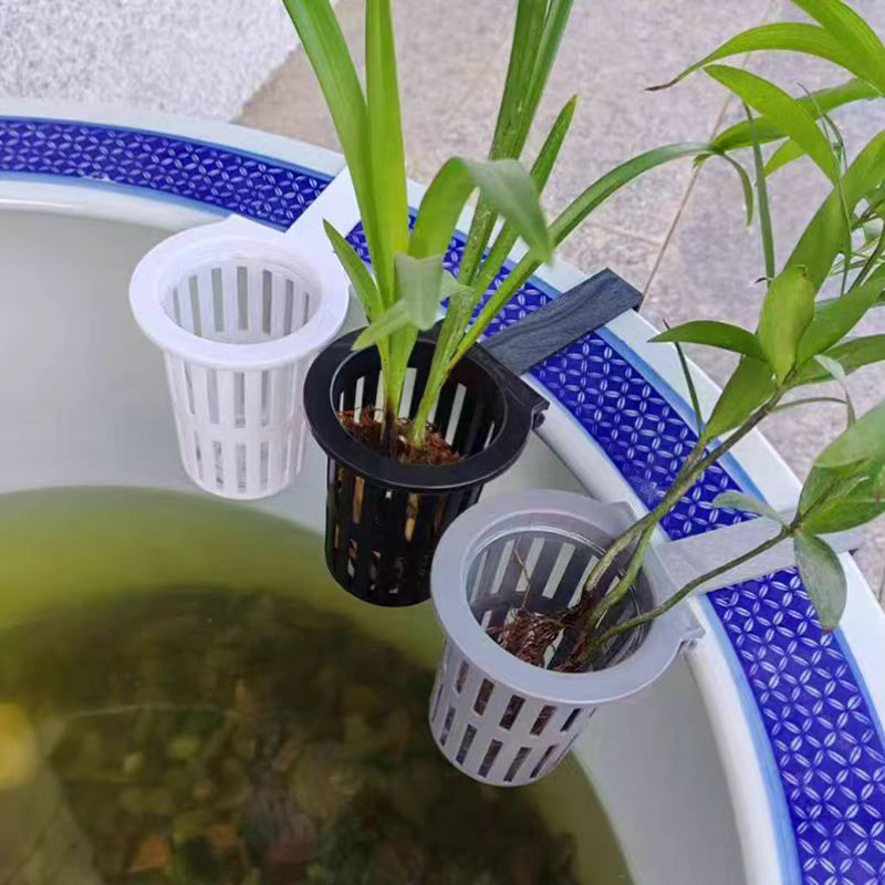 1/3Pcs Aquarium Plant Basket W - đánh giá và giá Aquarium Planted Wall