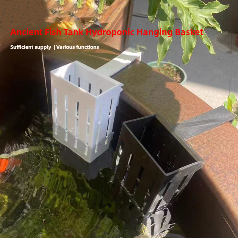1/3Pcs Aquarium Plant Basket W - đánh giá và giá Aquarium Planted Wall
