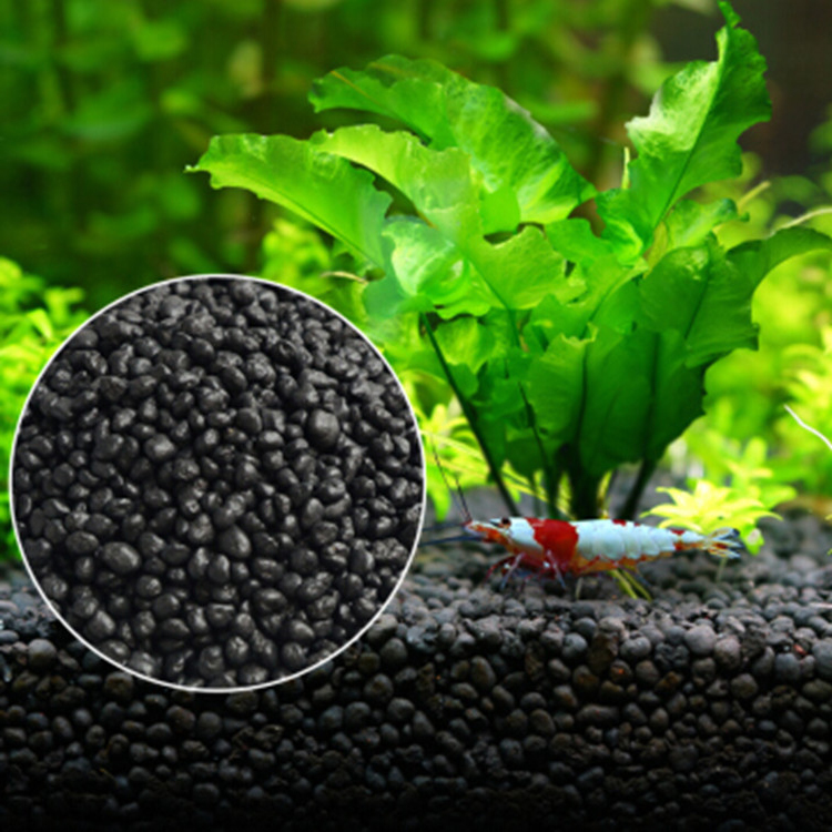 Bể Cá Cảnh Vật Có Hạt Đất Fish - đánh giá và giá Aquarium Plant Nursery