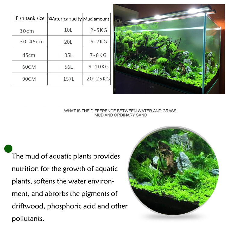 Bể Cá Cảnh Vật Có Hạt Đất Fish - đánh giá và giá Aquarium Plant Nursery